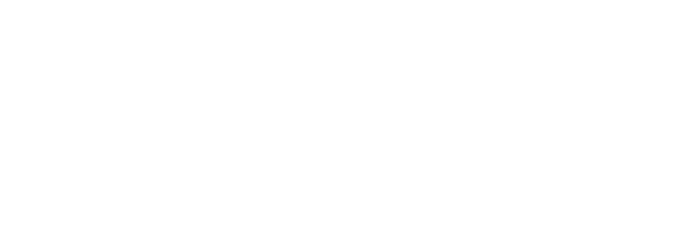 Interactive Lion